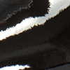 Polished lamb Black 