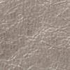 Grained metallic goat Champagne 