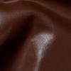 Shiny lamb Chocolate 